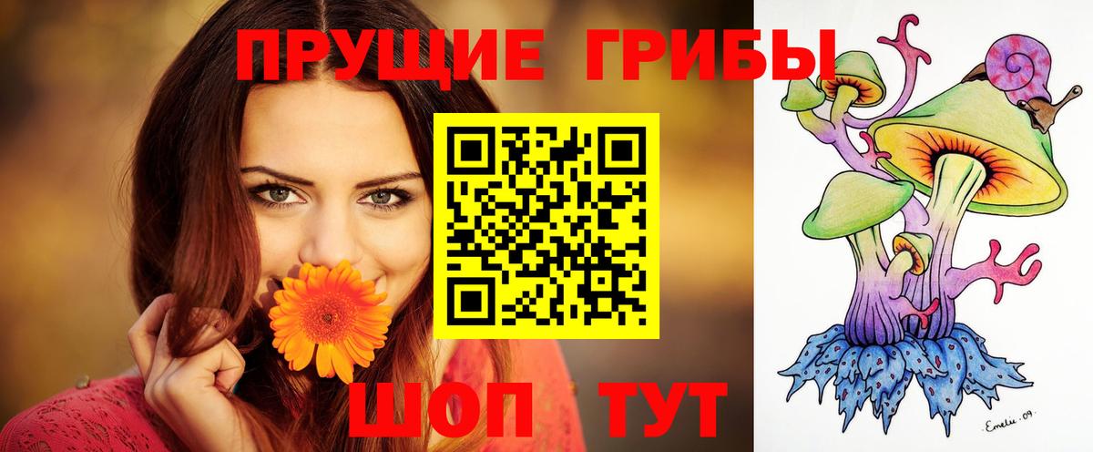 Галлюциногенные грибы Psilocybe Ноябрьск