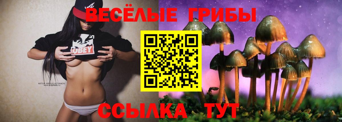Псилоцибиновые грибы Psilocybine cubensis  Вход с VPN  Ноябрьск  Псилоцибиновые грибы GOLDEN TEACHER 