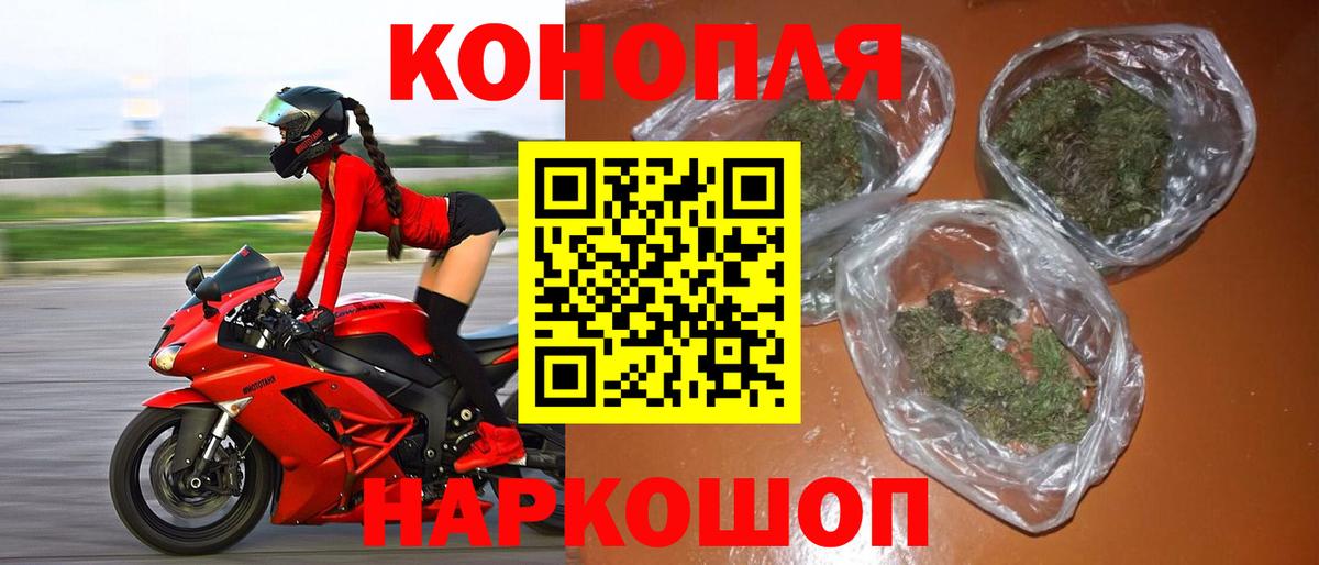 Каннабис конопля Ноябрьск